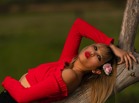Kat-3-30048-