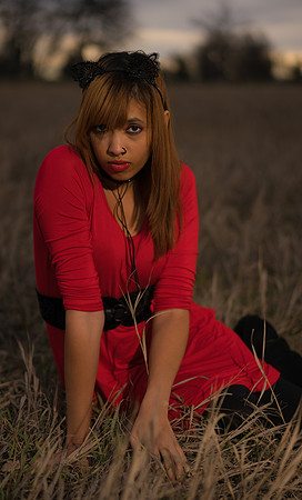 Kat-05653