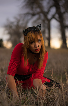 Kat-05664
