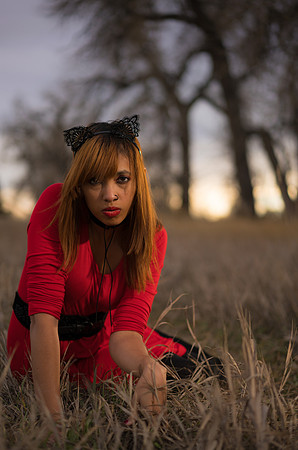 Kat-05661