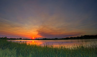 _DSC5018