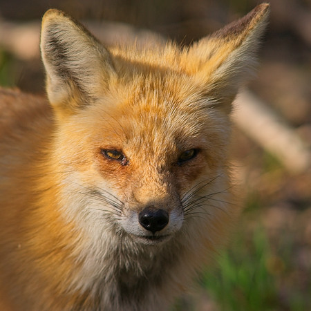 DSC04716_Export