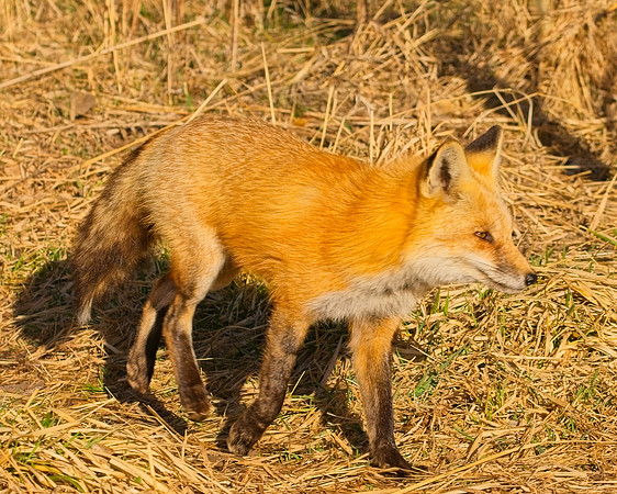 DSC03103_Export
