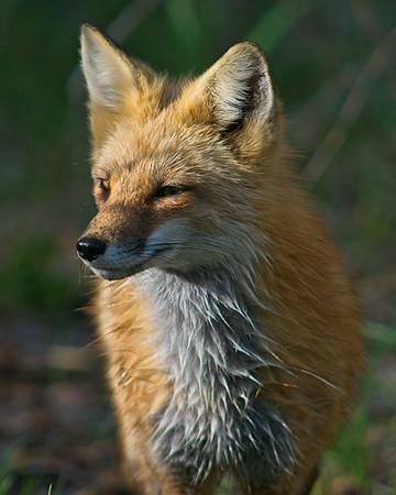 DSC04840_Export