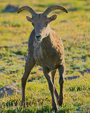 _DSC9477_Export