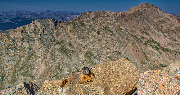 Marmot Scape-6795