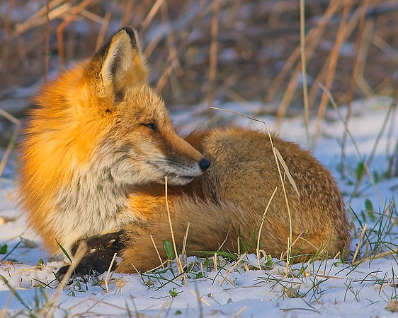 _DSC7447