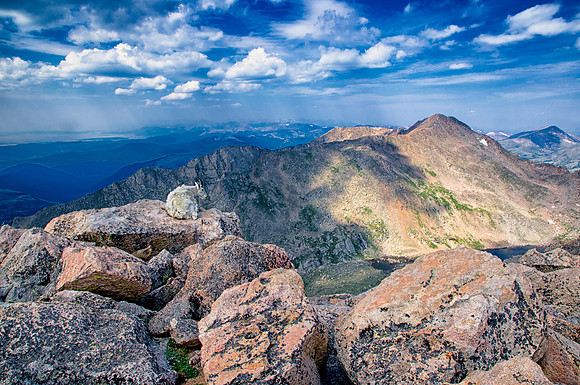 WAW-Goat & Marmot-Scape-7040-