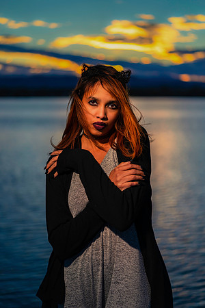Kat-731708-