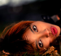 Kat-Y-2-31675-