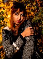 Kat-Y-31745-