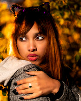 Kat-Y-31741-