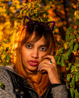 Kat-Y-2-31736-