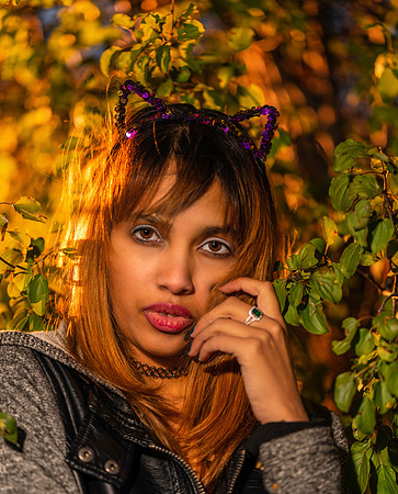 Kat-Y-2-31736-