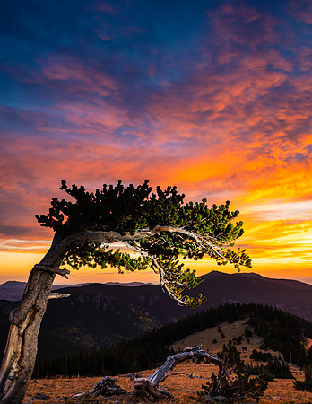 Krumholtz-Sunrise-0717