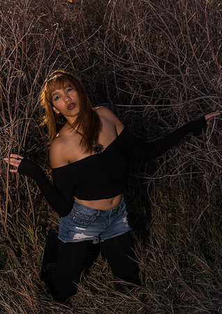Kat-04869