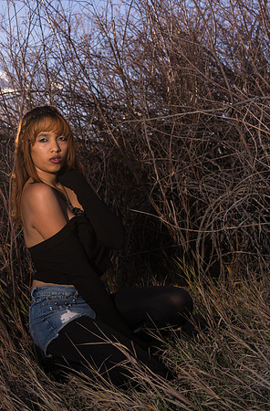 Kat-04854