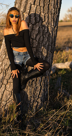 Kat-04906
