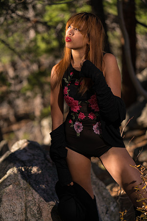 Kat-04424