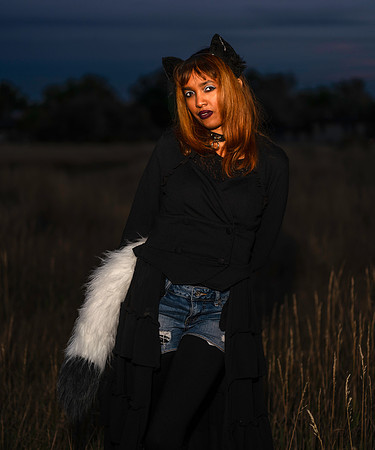 Kat-31110-