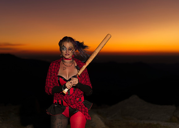 Harley (1)