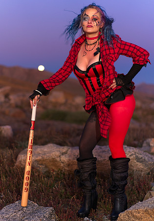Harley (12)