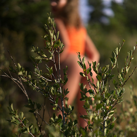 Kinley-2 (3)