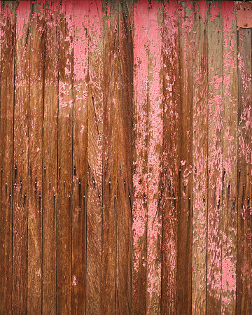 Barn (6)