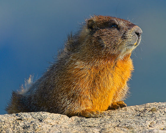 Mt Evans 7-30 (436)