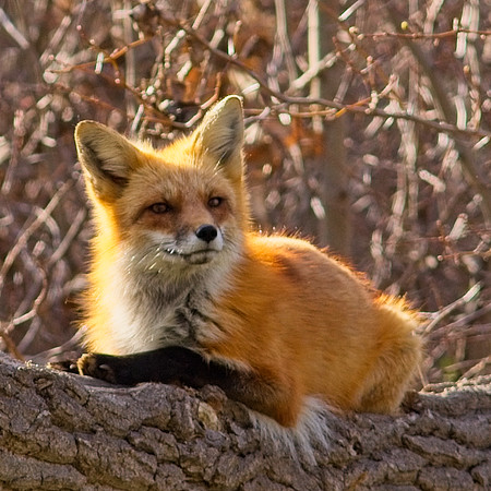 DSC04073_Export