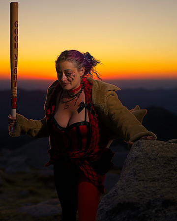 Harley (28)