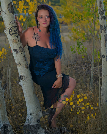 _JR49603