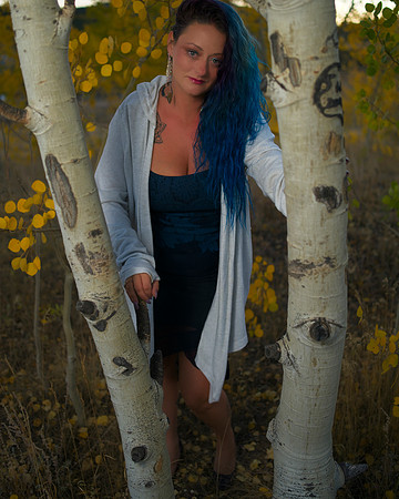 _JR49633
