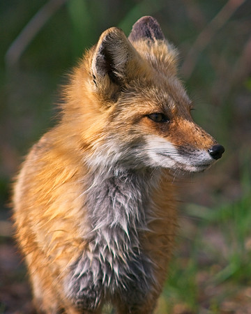DSC04841_Export