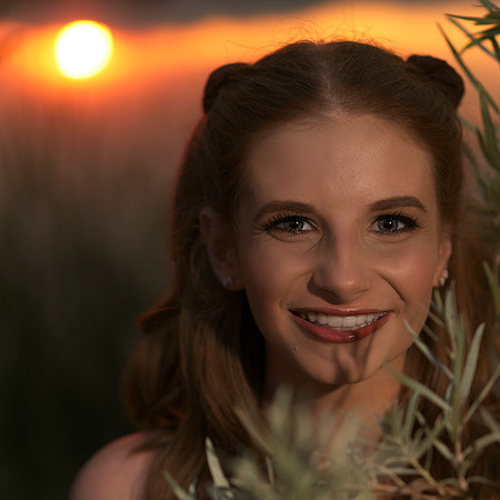 ELZ2 (15)
