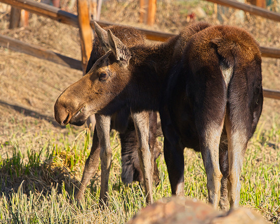 M2 (13)