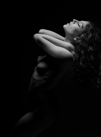 FAN-Bella Rose-BW-03344-2