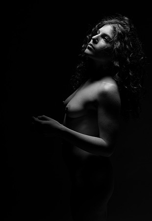 FAN-Bella Rose-BW-03337-2