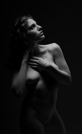FAN-Bella Rose-BW-03573