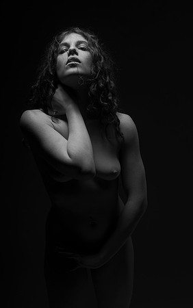 FAN-Bella Rose-BW-03487-03487