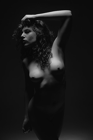 FAN-Bella Rosa-BW-03253-2