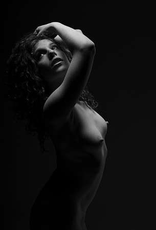 FAN-Bella Rose-BW-03571