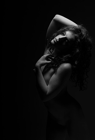 FAN-Bella Rose-BW-03437-03437