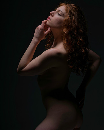 FAN-Bella Rose-03400