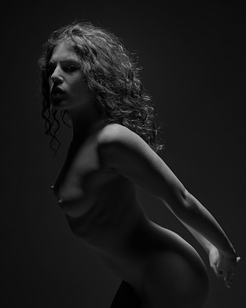 FAN-Bella Rosa-BW-03277-2