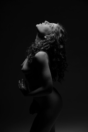 FAN-Bella Rosa-BW-000-2