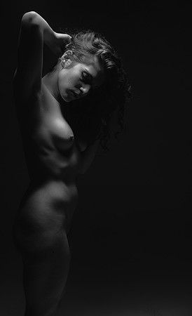 FAN-Bella Rosa-BW-03287-2