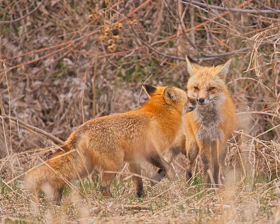 DSC03421_Export