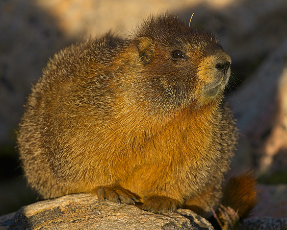 MT EVANS 8-20 (177)