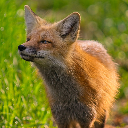 DSC04955_Export